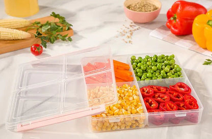 4 Section Freezer Box with Lid