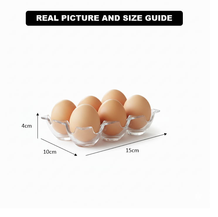 6-Grid Acrylic Eggs Storage